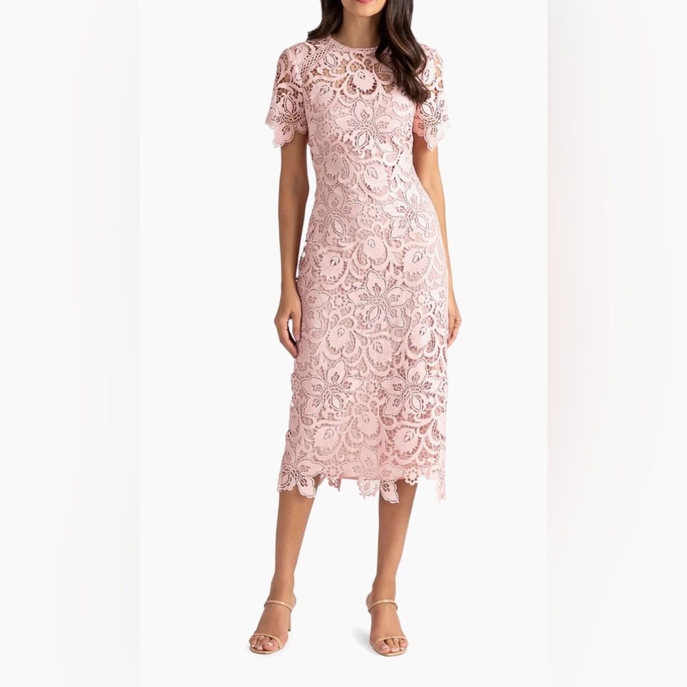 Shoshanna Blush Lace Midi Dress